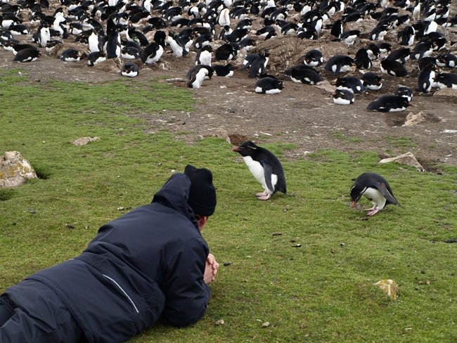 ../../Pictures/241209/012 Rockhopper.JPG